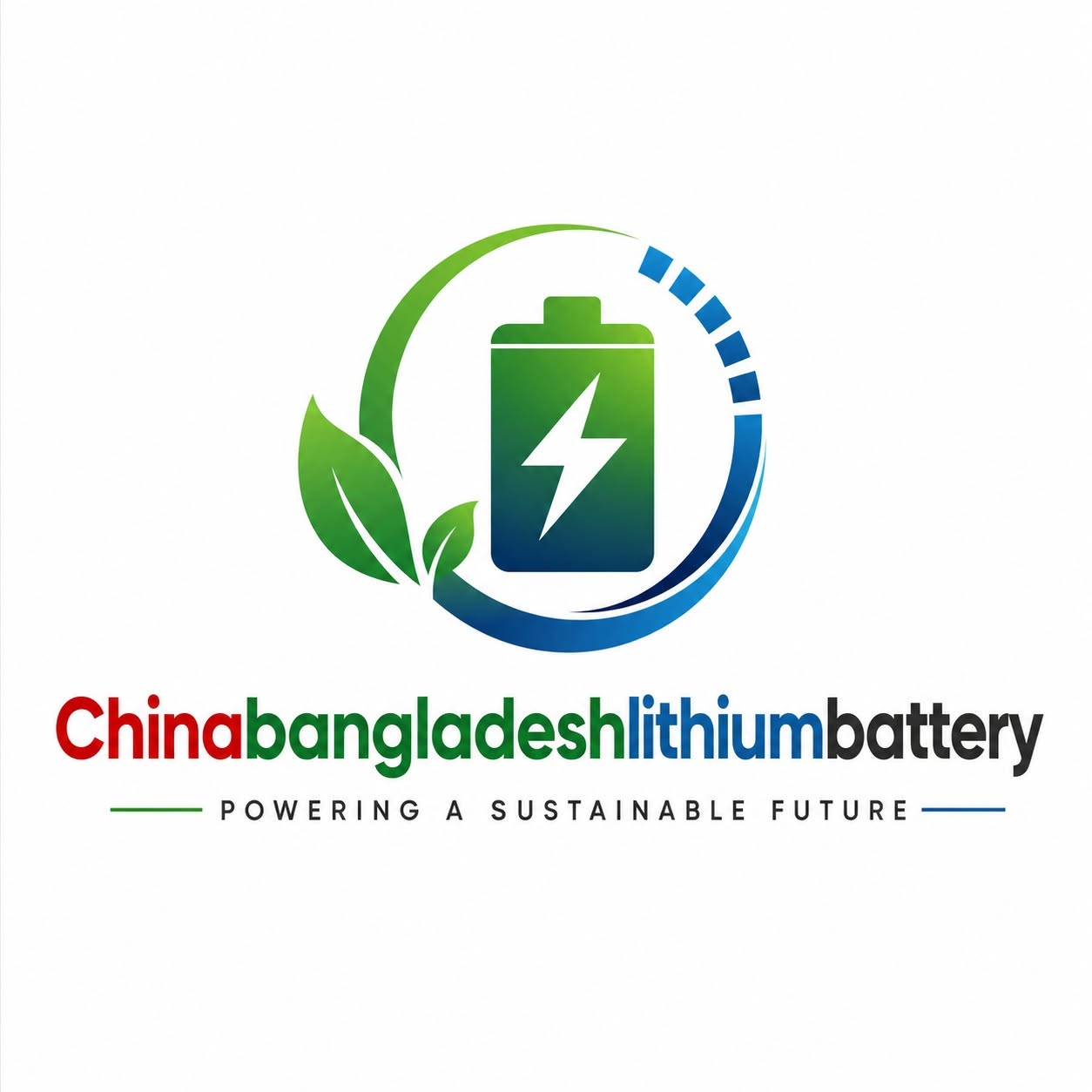 China Bangladesh Lithium Battery 