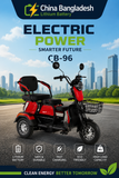 Motor: 48V-60V 600W 25H