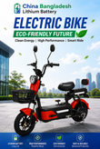 China New Design Electric Bike 48V 350W Low Price
