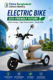 Electric Tricycle 3 Wheels Bicycle Customized Vehicle